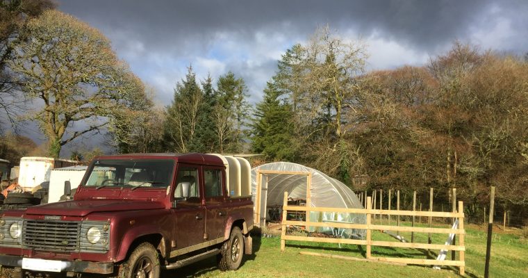 Getting the Poly Tunnel Ready for Planting.